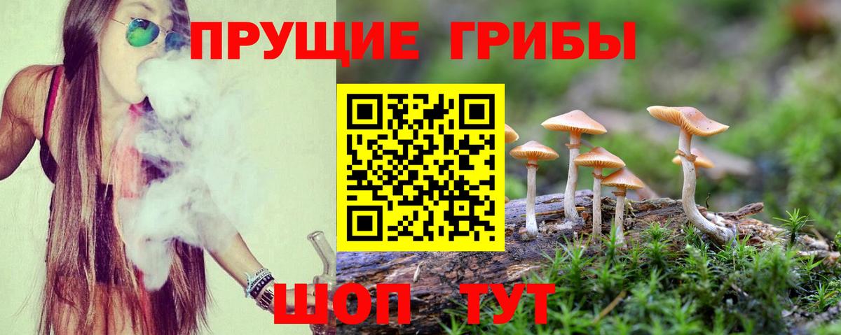 Псилоцибиновые грибы Psilocybine cubensis Новокубанск